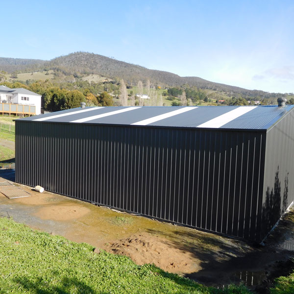 Large Shed built in Bendigo with 4 skylights in the roof, clad in monument.